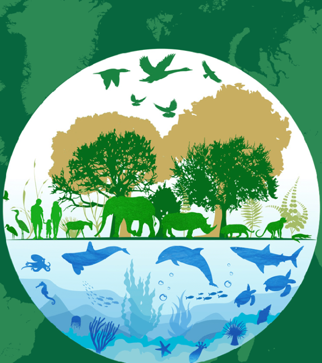 Government Schemes_home (5)